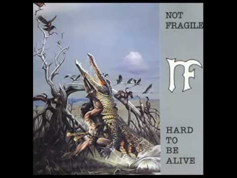 Not Fragile – Hard To Be Alive – CD (Album), 1992 [r3247382] | Discogs