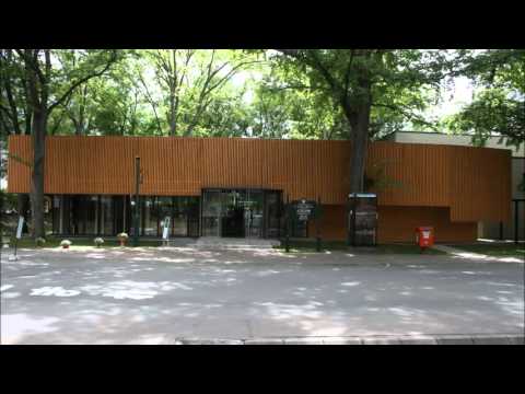 都ぞ弥生 オルゴールver. 「エルムの森」BGM - YouTube