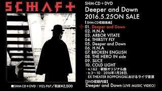 SCHAFT | ARCHIVES 2016 TOUR ULTRA ～The Loud Engine～ | ビクター