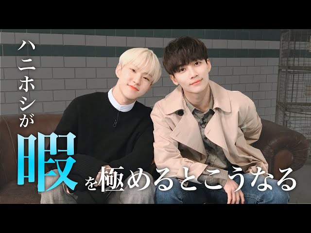 セブチ/ジョンハン/ホシ] 暇すぎてどうしようもない時に見る動画