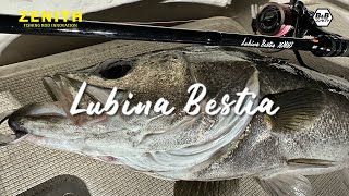 Lubina Bestia（ルビナベスティア） - ZENITH（ゼニス）：ロッド
