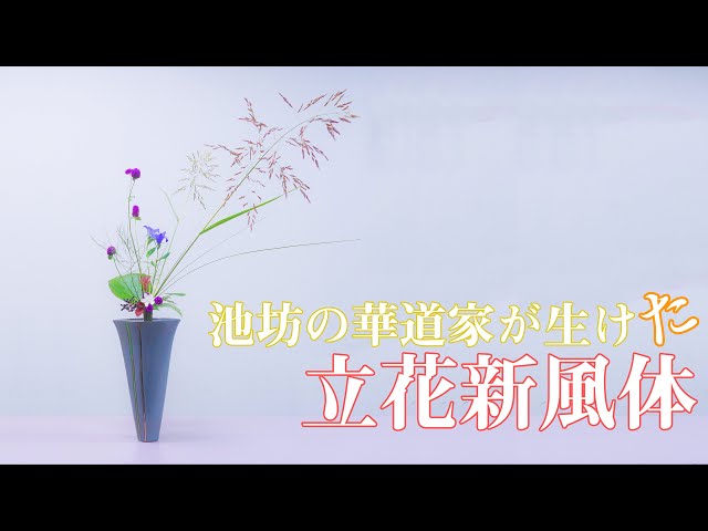 生け花紹介】池坊の華道家が秋に立花新風体を生ける【風草/千日紅
