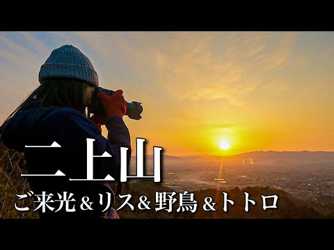Day trip hiking] Lots of fun! It's really great♪ Mt. Nijo - YouTube