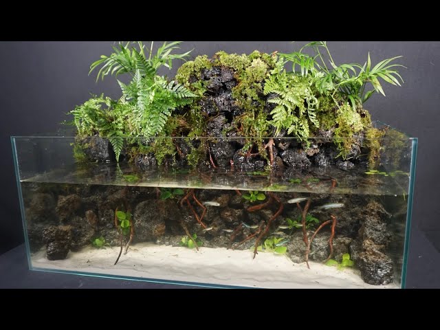 秘境なアクアテラリウムを作ってみた - YouTube