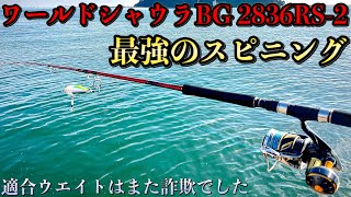 ワールドシャウラBG2836RS-2は驚愕の強度でした - YouTube