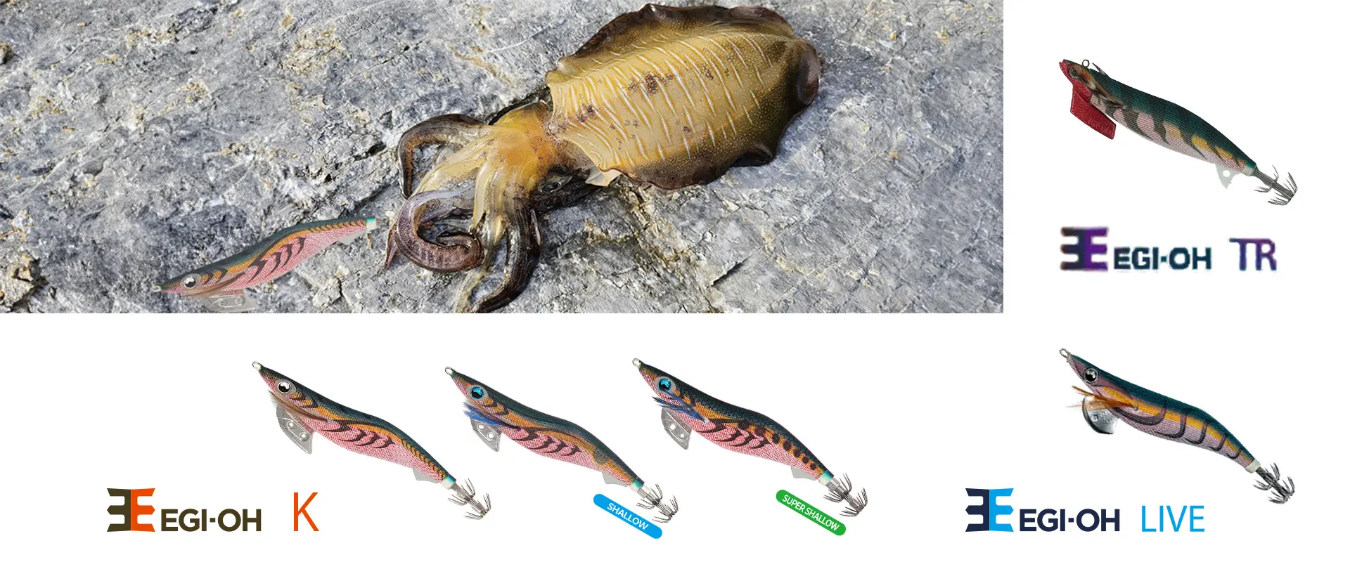 エギ王K 軍艦グリーンなぜ人気？廃盤って本当？売ってないの？