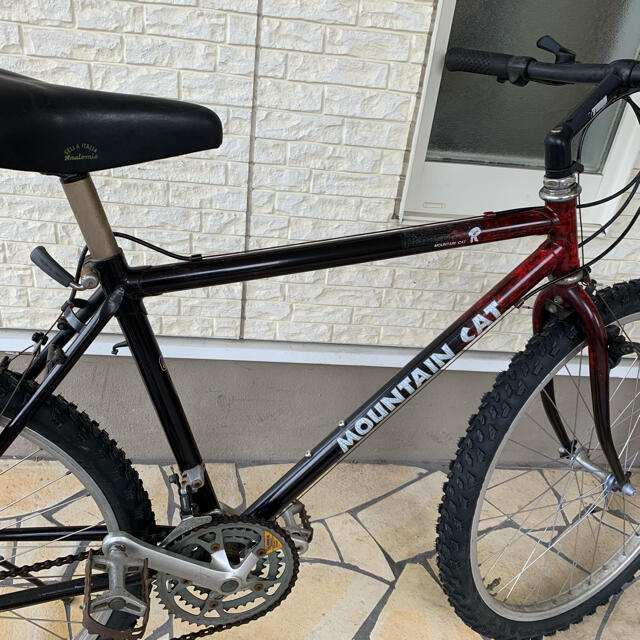 Panasonic - Panasonicパナソニック mountain CATマウンテンキャット