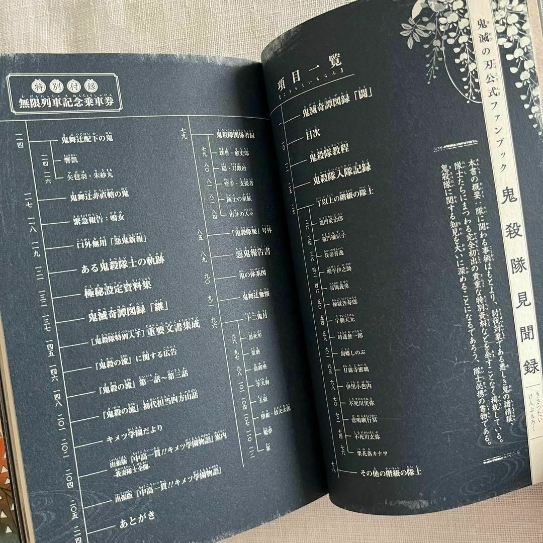 鬼滅の刃 必見3冊セット 公式ファンブック 鬼殺隊見聞録 外伝 吾峠呼