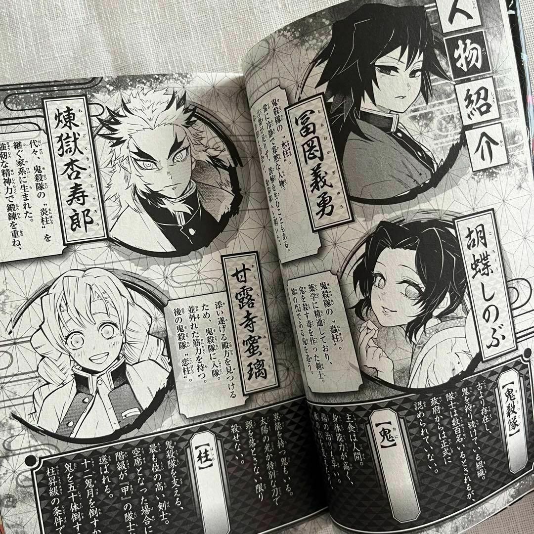 鬼滅の刃 必見3冊セット 公式ファンブック 鬼殺隊見聞録 外伝 吾峠呼