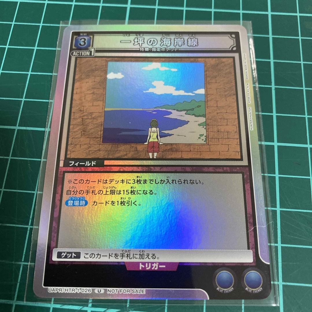 一坪の海岸線 ハイエスト レリーフ 一坪の海岸線 ハイエスト レリーフ