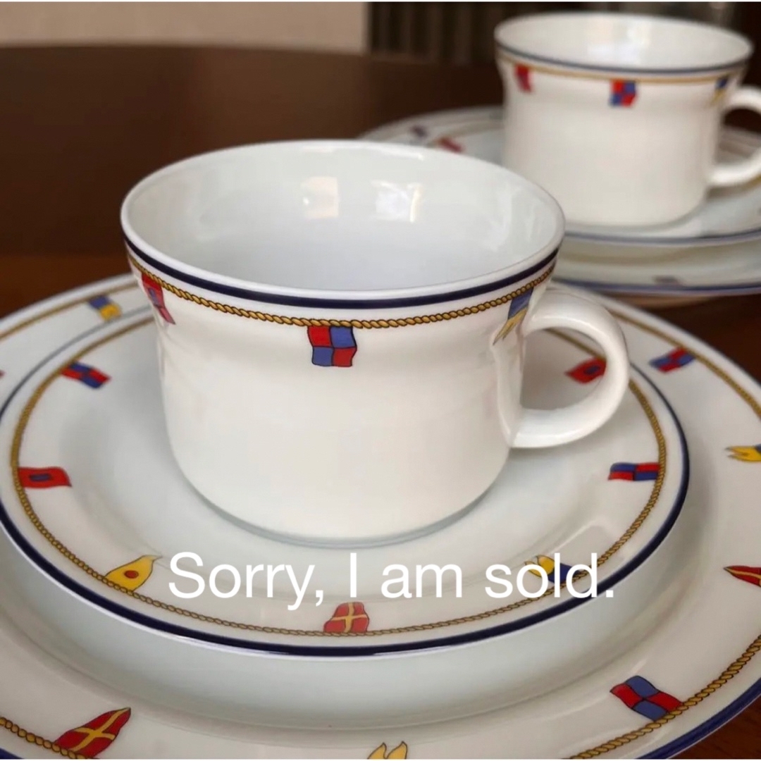 Richard Ginori - 【美品】リチャードジノリ☆クリッパー☆トリオ ペア