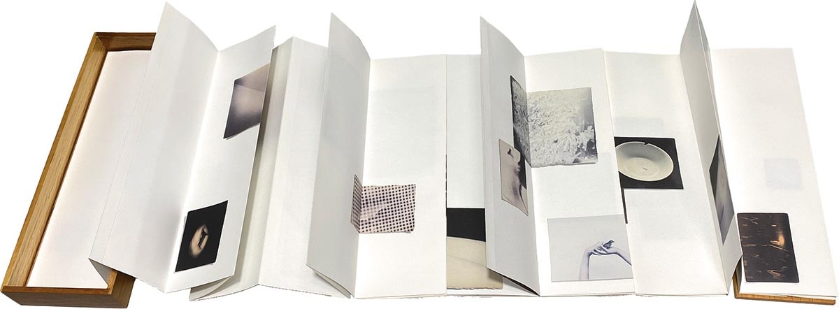 7001］ 山本昌男 masao yamamoto 直筆サイン本「omizuao オオミズアオ」