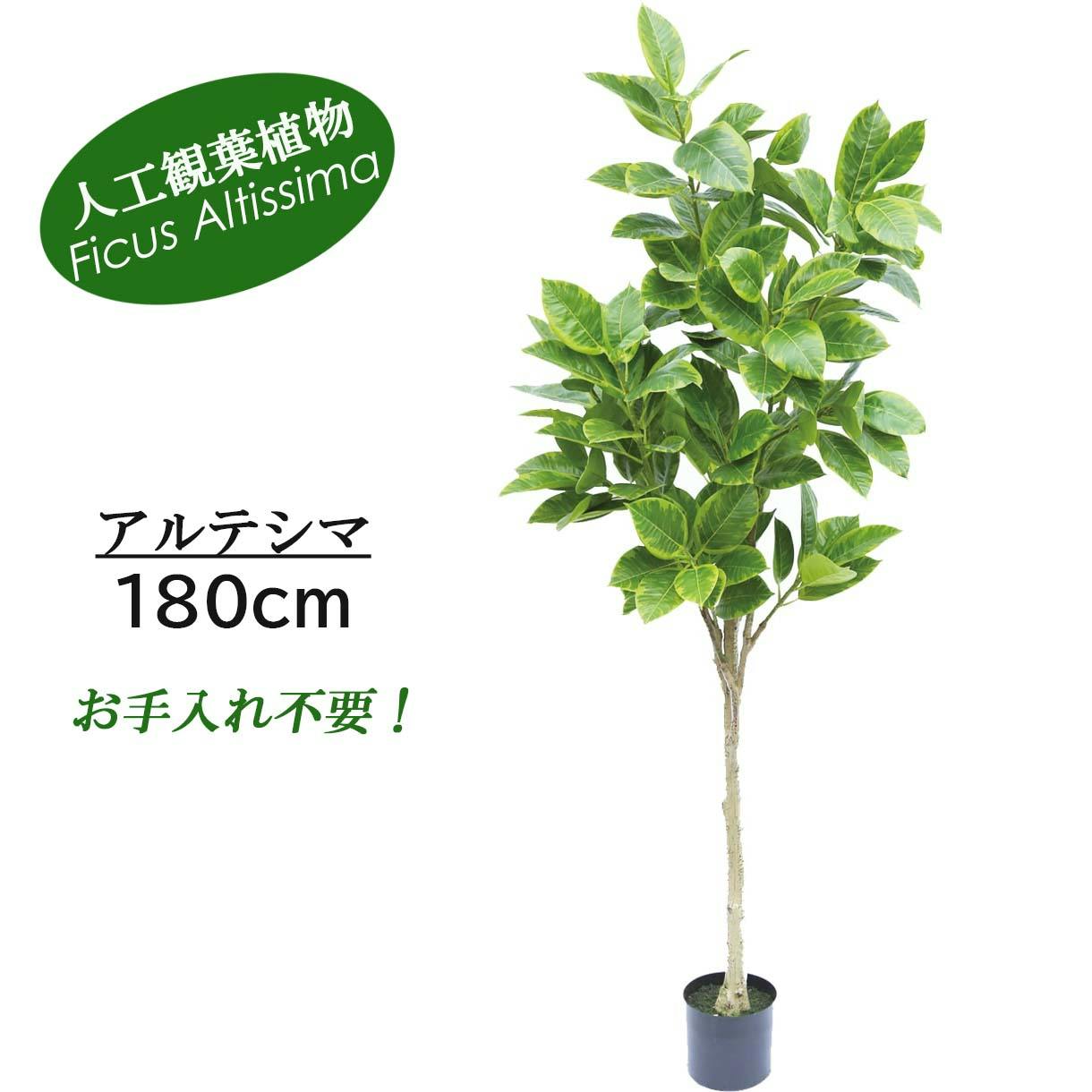 GREEN COFFRET アルテシマ180cm 人工観葉植物 フェイクグリーン