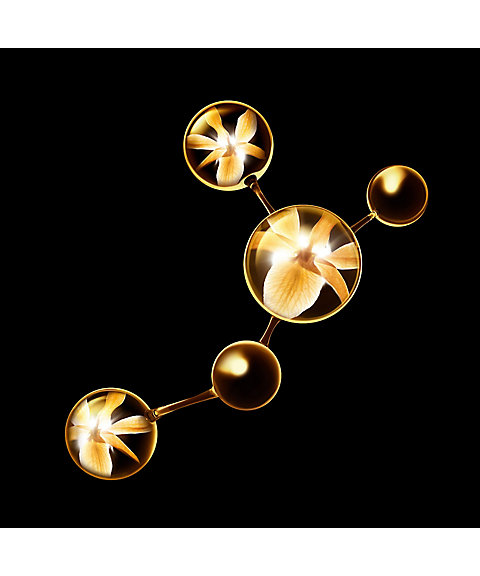 CHANEL（CHANEL） サブリマージュ ラ クレーム シュプレーム 通販