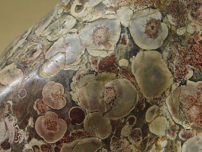 緋山酔恭「山水石美術館」 全国の水石・美石を紹介 越前紋石