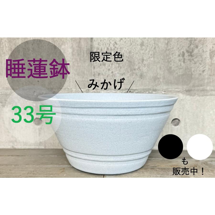 睡蓮鉢（メダカ鉢） プラスチック製 33号 : MEIWACO Yahoo!ショップ