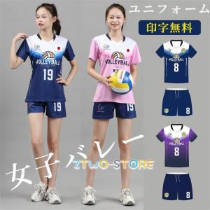 バレーボール ユニフォーム 半袖 パンツ 番号 名入れ バレーボール