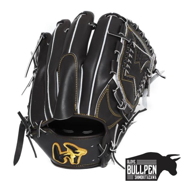 ワールドペガサス（WORLD PEGASUS） 専用グラブ袋付き グランド