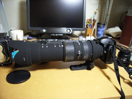 SIGMA APO 50-500mm F4-6.3 EX DG /HSM 購入！: くろねこ三等兵 写真