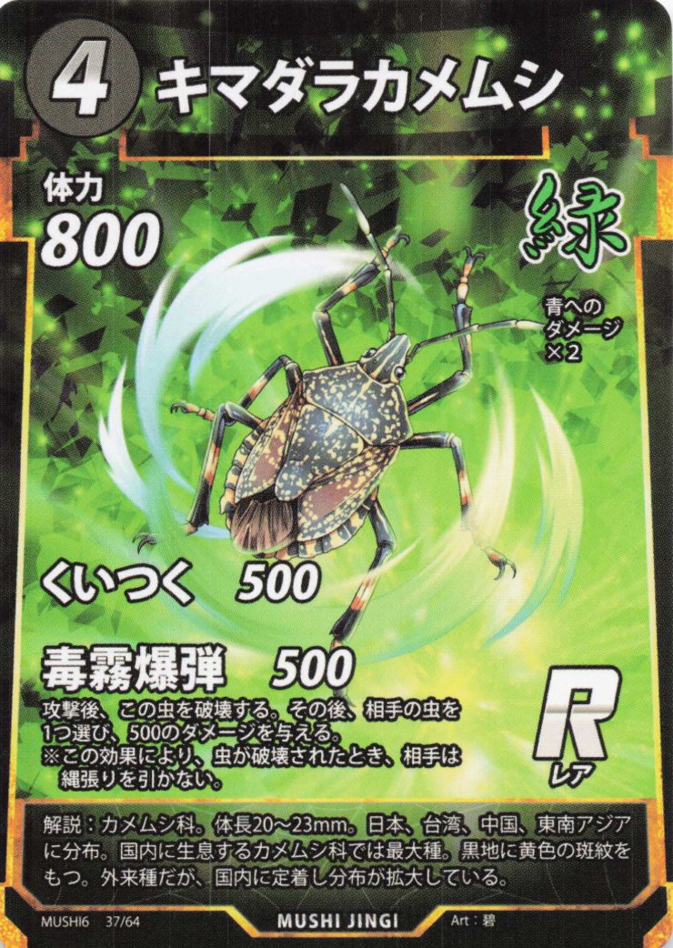 蟲神器】キマダラカメムシ(R)の詳細【昆虫カード図鑑】