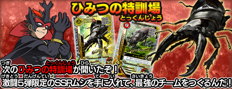 ひみつの特訓場｜ムシキング研究所｜新甲虫王者ムシキング｜セガ