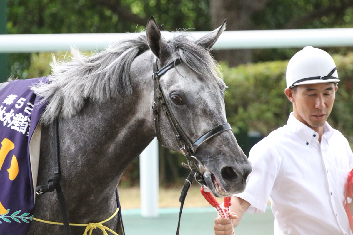 和田竜二さんといえば、牛のようだと言われたクーリンガーを追って