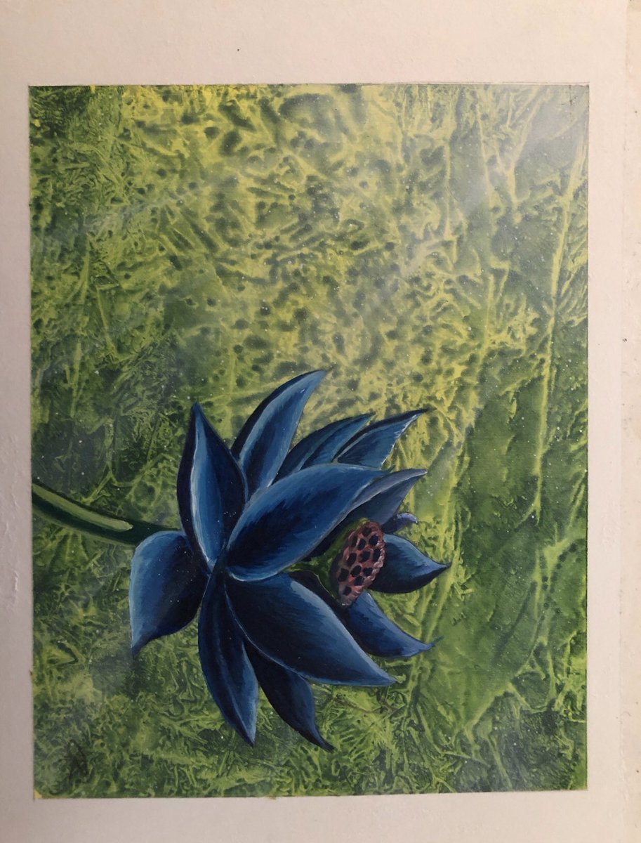 Dx4WhXrVsAA7xL9.jpg?format=jpg