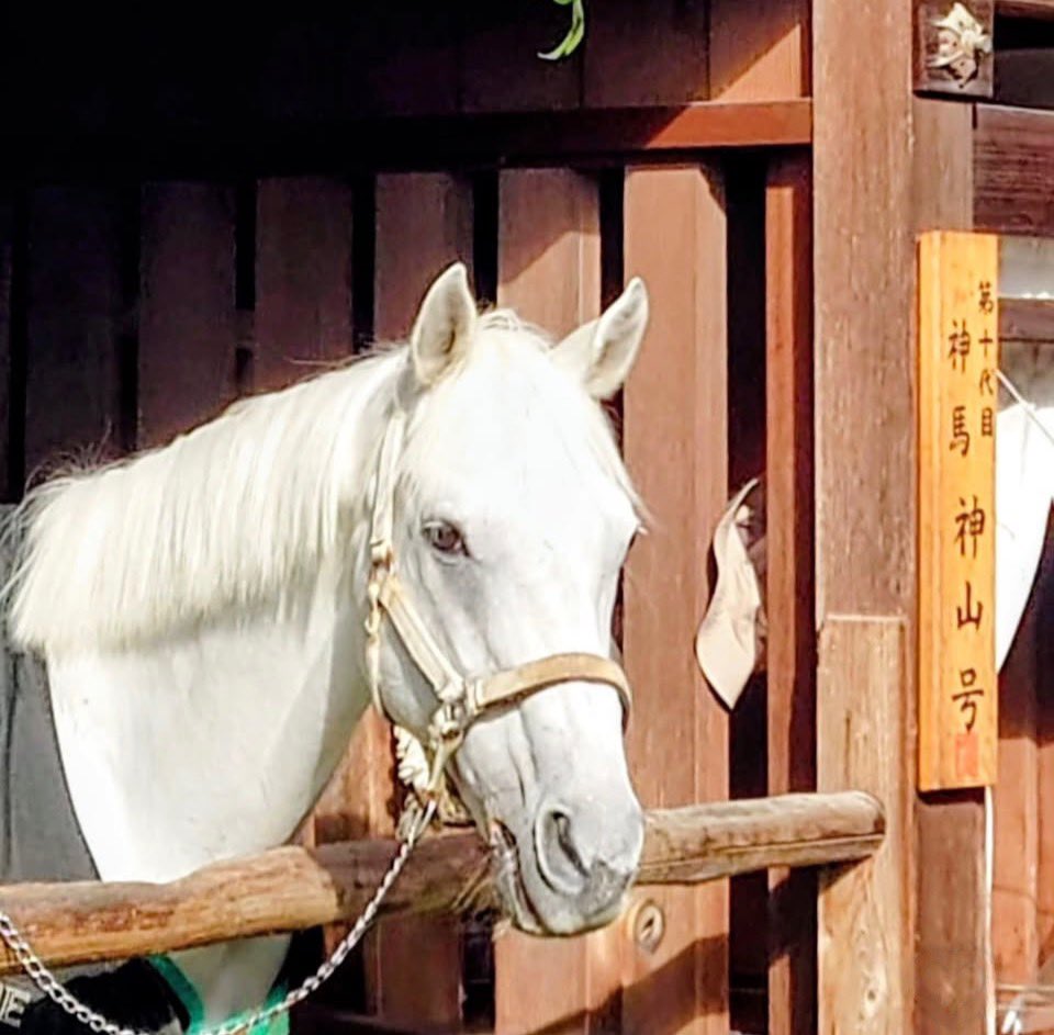 まゆみん𓂃𓂂ꕤ*.ﾟ (@marumaru11751) / Posts and Replies / X