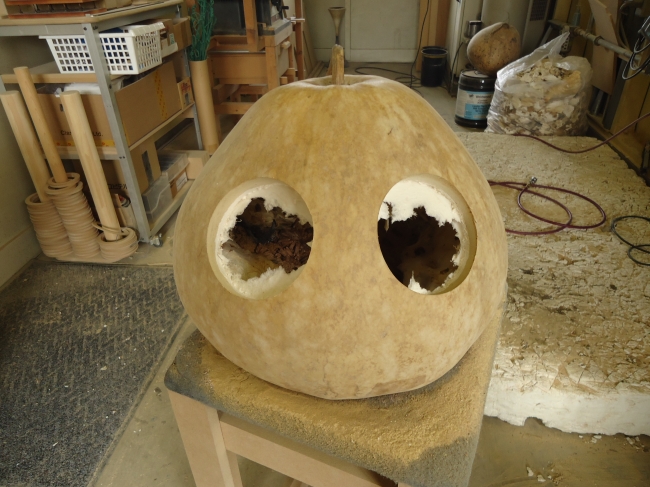 1年で僅か300個のみ販売！畑で穫れる、幻の超高音質かんぴょう