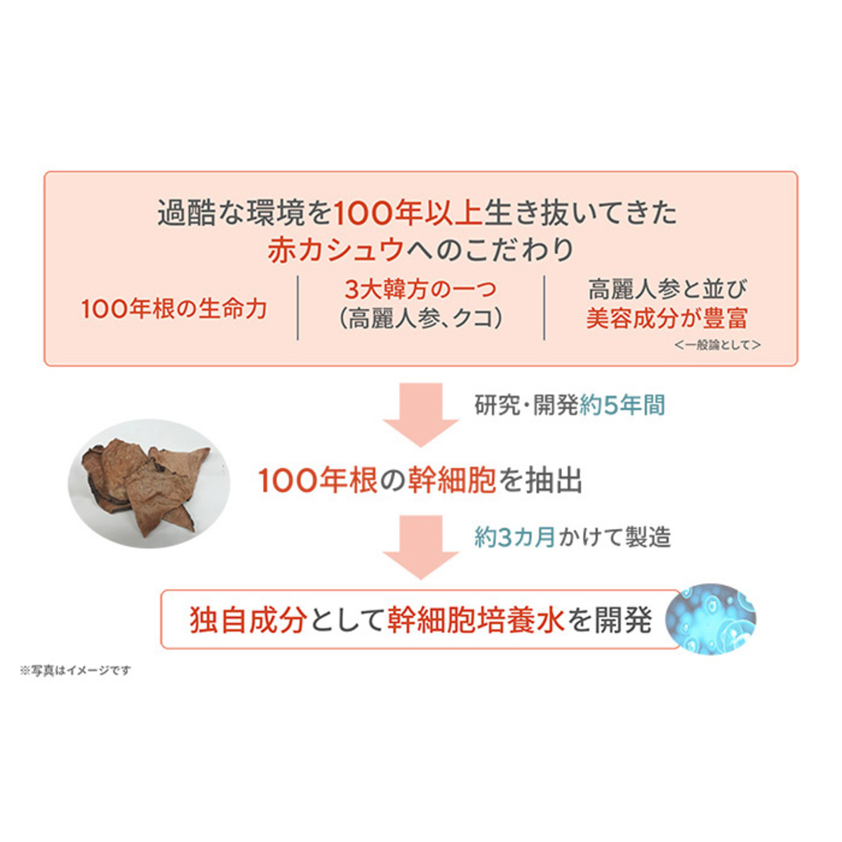 サイムダンプレミアムファーストクラスパーフェクトリッチクリーム2個