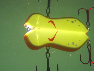 六度九分 king murr murr