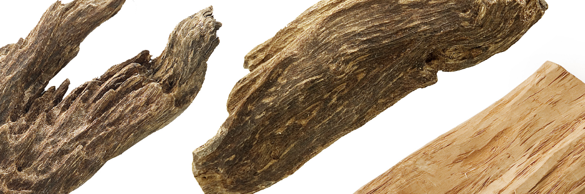 株式会社 精華堂｜香木について