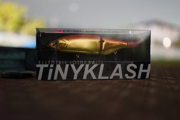 DSC00828_600x600.jpg?v=1682976830