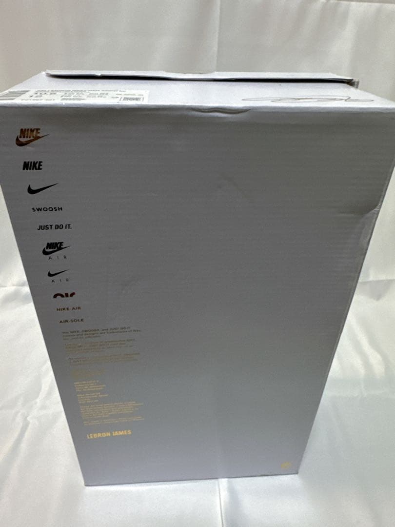 シューズ(男性用) NIKE LEBRON NXXT GEN AMPD EP 28.5cm