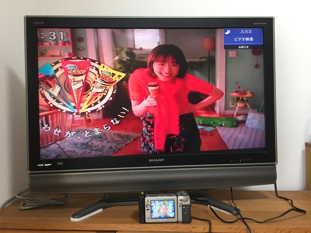 撮影再生ダビングOK　SAHRP　VL-EX3　付属品あり　液晶大画面