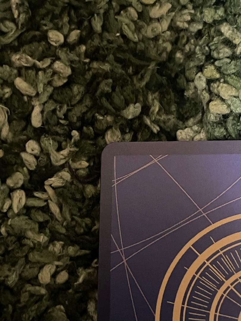 ロビン SP SRパラレル　ヒロインズエディション