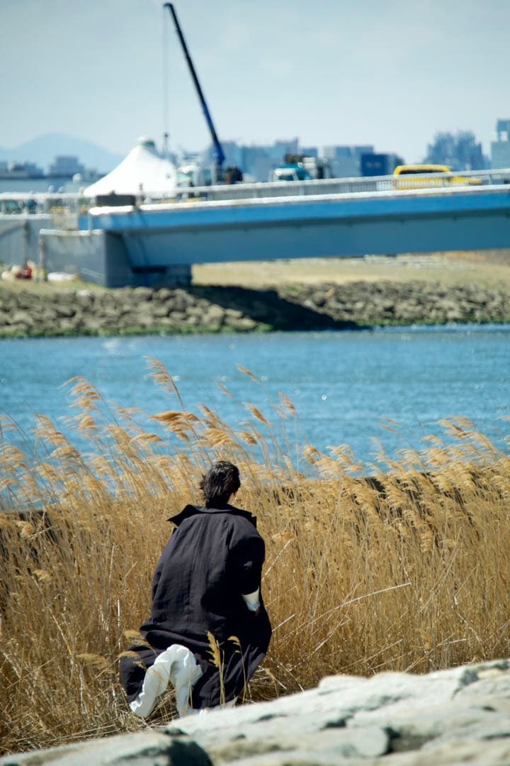 tamron 18-300 F/3.5-6.3 Di Ⅲ-A VC V XD